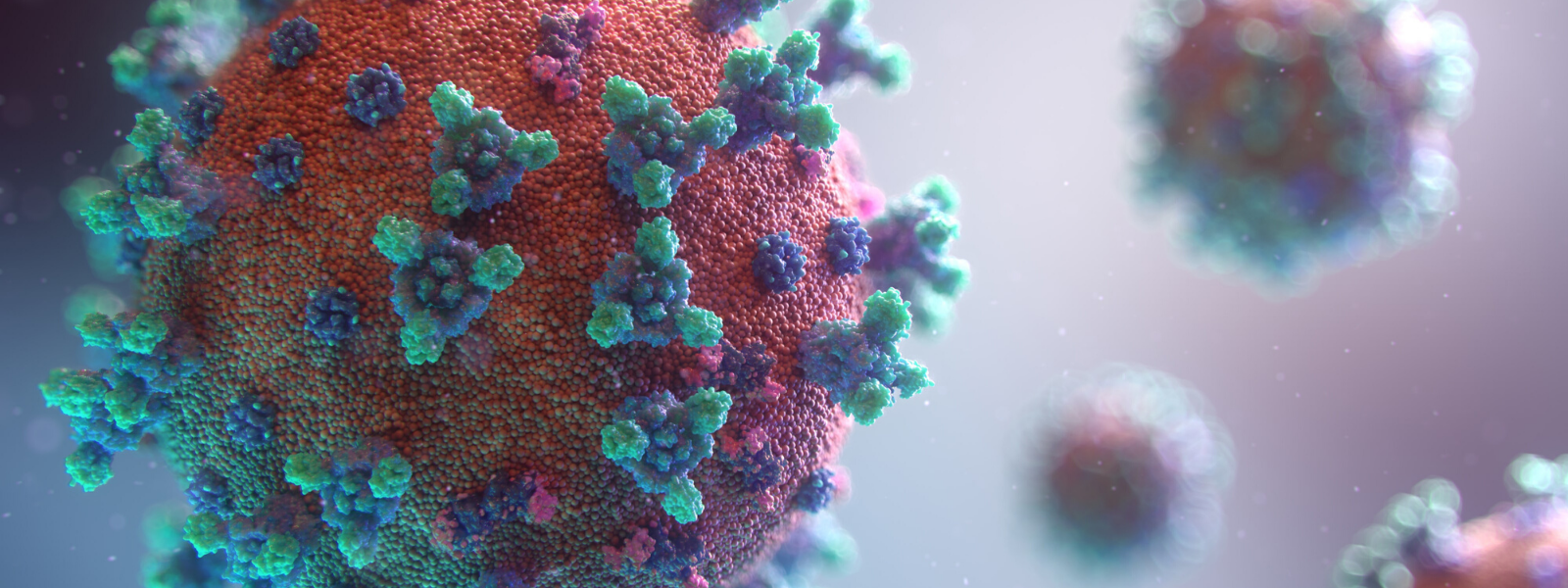 Coronavirus (COVID-19) and Preventive Law Measures